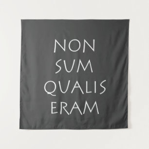 Non sum qualis eram tapestry