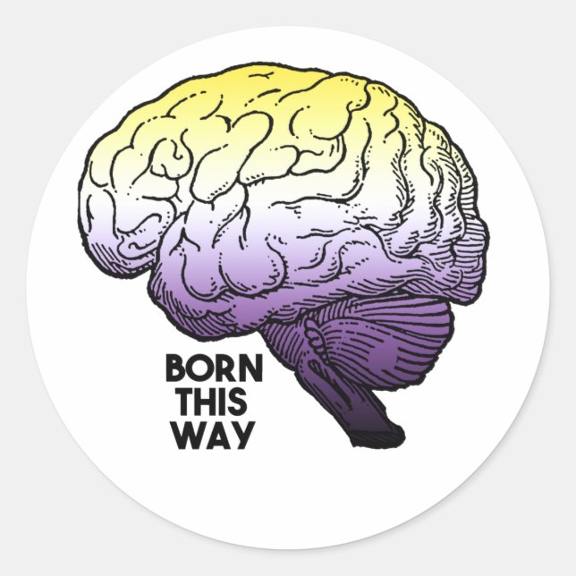 Nonbinary Born This Way  Classic Round Sticker (Front)