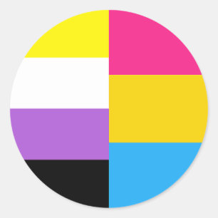 Nonbinary Pansexual Dual Pride Flag Classic Round Sticker
