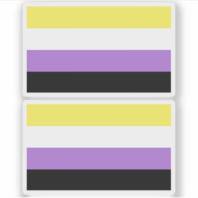 Nonbinary Pride (Front)