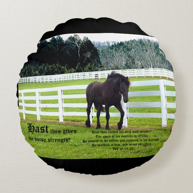 Nonesuch at Cedar Point w Job 39 Round Cushion (Front)