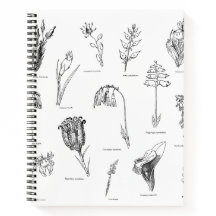 Nonsense Botany Notebook