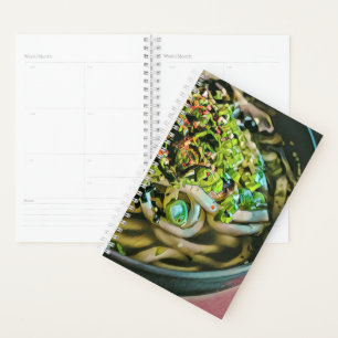 Noodle lover design planner