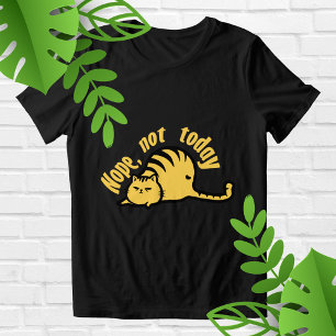Nope not today  Tri-Blend shirt