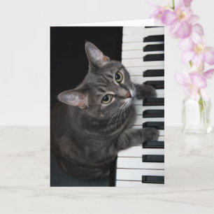 Nora The Piano Cat - Blank Folded Card - Style 001
