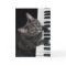 Nora The Piano Cat - Blank Folded Card - Style 001