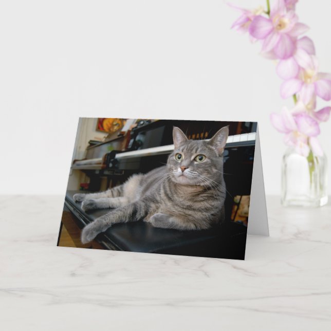 Nora The Piano Cat - Blank Folded Card - Style 005 (Orchid)