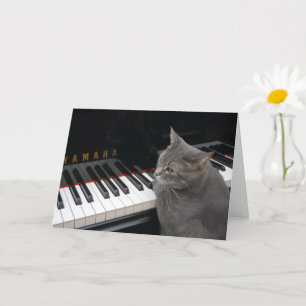 Nora The Piano Cat - Blank Folded Card - Style 7