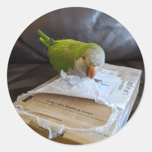 Norbert the Parrot loves to open packages Classic Round Sticker