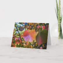 NorCal Nature Greeting Card: Heart Leaves