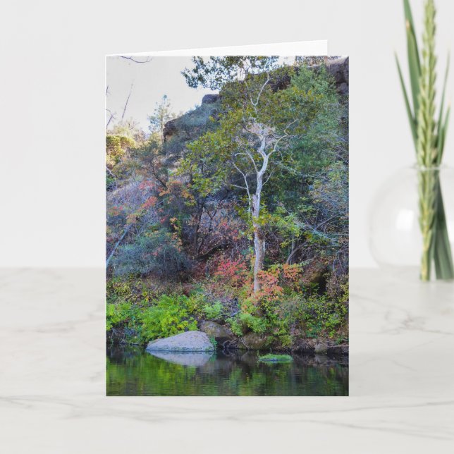 NorCal Nature Greeting Card: Upper Park Card 2 (Front)