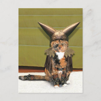 Nordic Cat is Not Amused Postcard