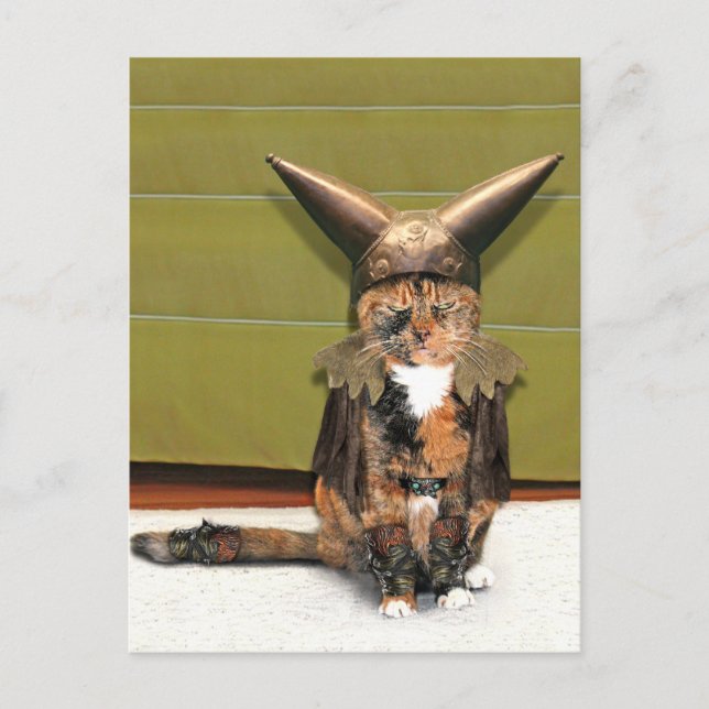 Nordic Cat is Not Amused Postcard (Front)