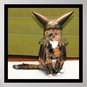 Nordic Cat is Not Amused Poster