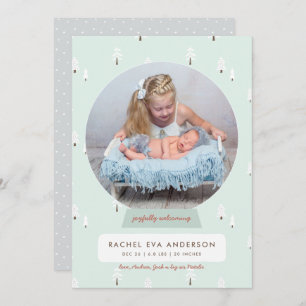 Nordic Winter New Baby First Christmas Snowglobe Holiday Card