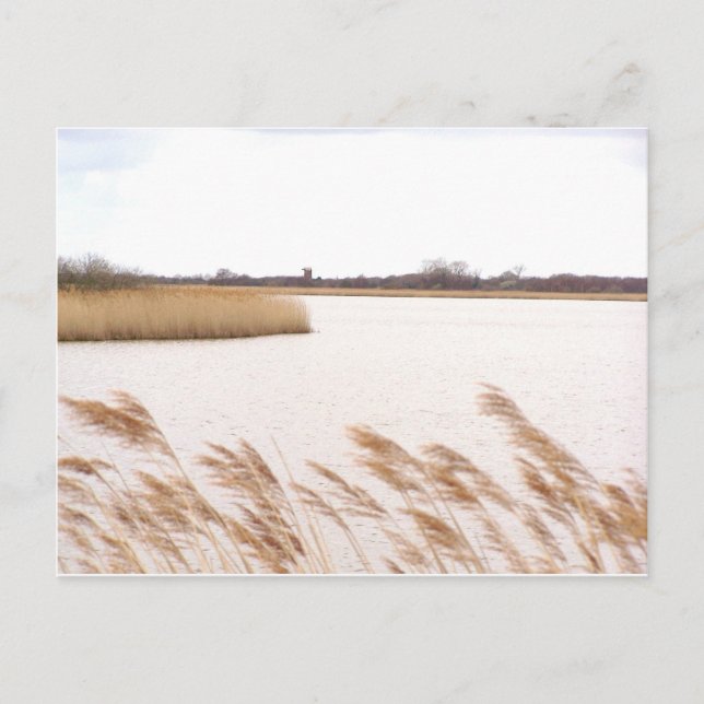 Norfolk Broads Postcard (Front)