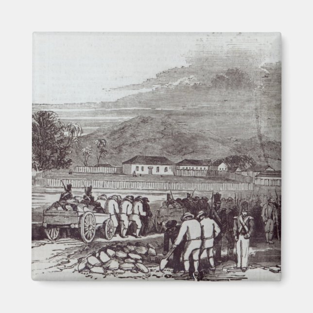 Norfolk Island Magnet (Front)