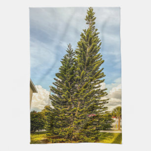 Norfolk Island Pines  Tea Towel