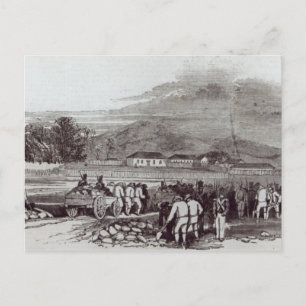 Norfolk Island Postcard