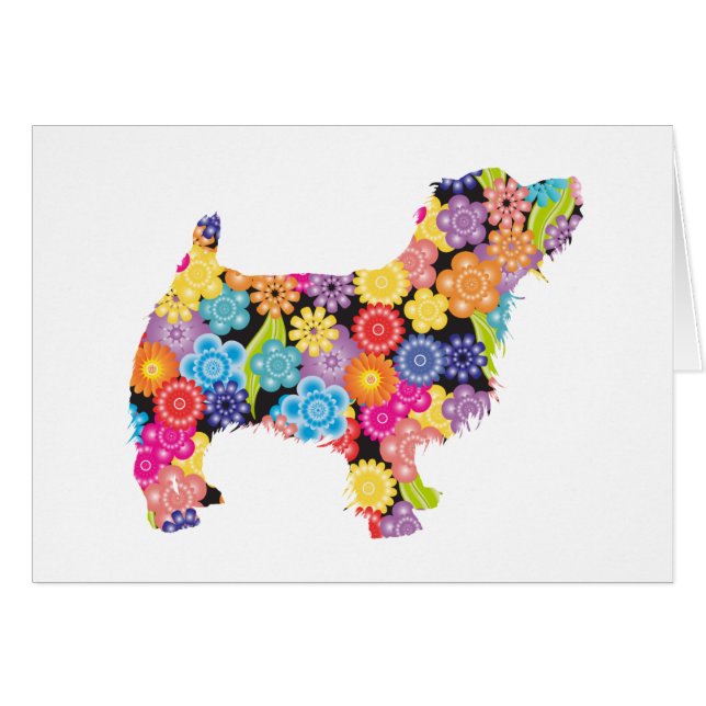 Norfolk Terrier (Front Horizontal)