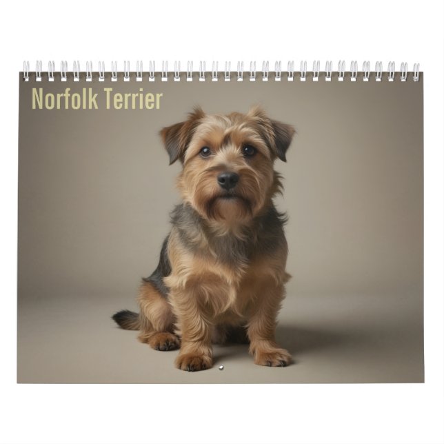 Norfolk Terrier 2027 Wall Calendar (Cover)