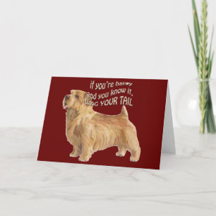 norfolk terrier card
