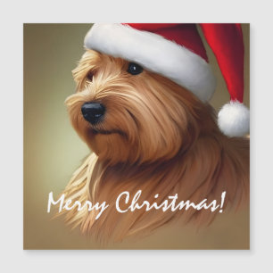 Norfolk Terrier Christmas