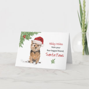 Norfolk Terrier Christmas From Dog in Funny Santa Card