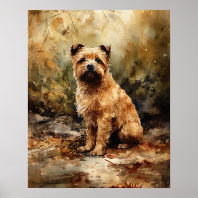 Norfolk Terrier Dog Art Print Poster (Front)
