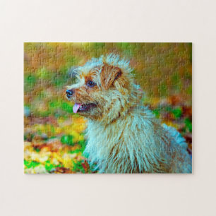 Norfolk terrier Dog. Jigsaw Puzzle