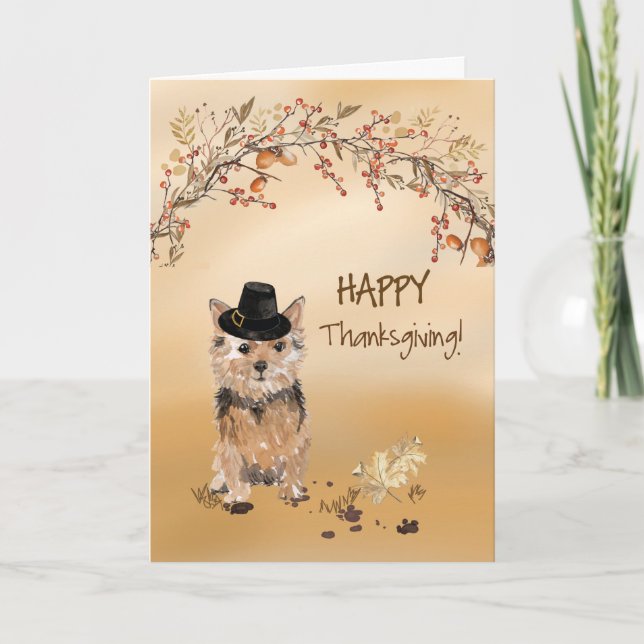 Norfolk Terrier Funny Pilgrim Hat Thanksgiving Card (Front)