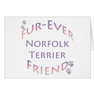 Norfolk Terrier Furever