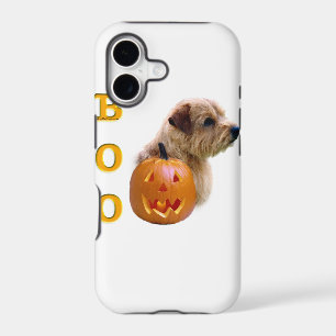 Norfolk Terrier Halloween Boo