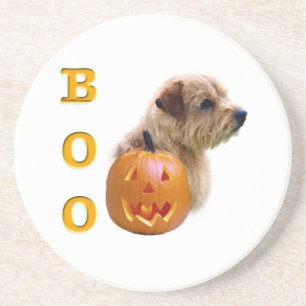 Norfolk Terrier Halloween Boo Coaster