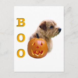 Norfolk Terrier Halloween Boo Postcard