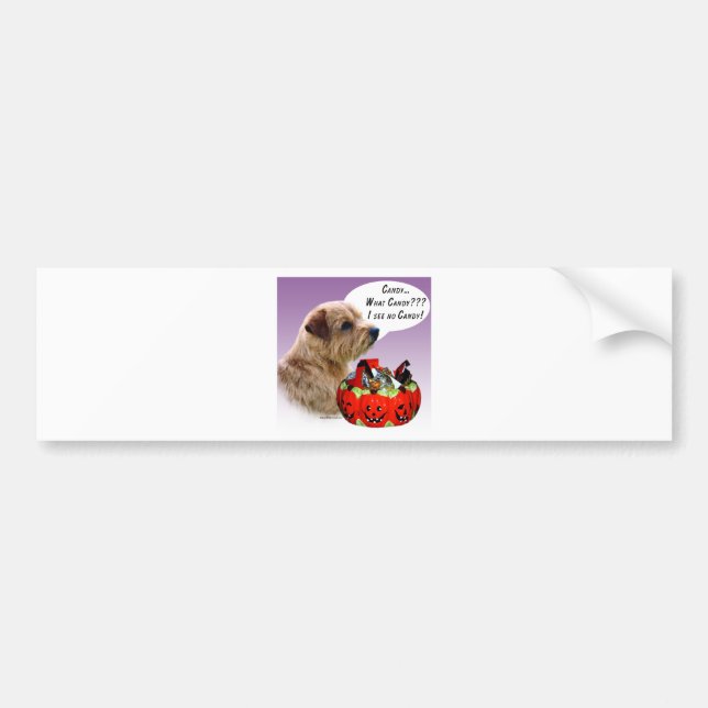 Norfolk Terrier Halloween Candy Bumper Sticker (Front)