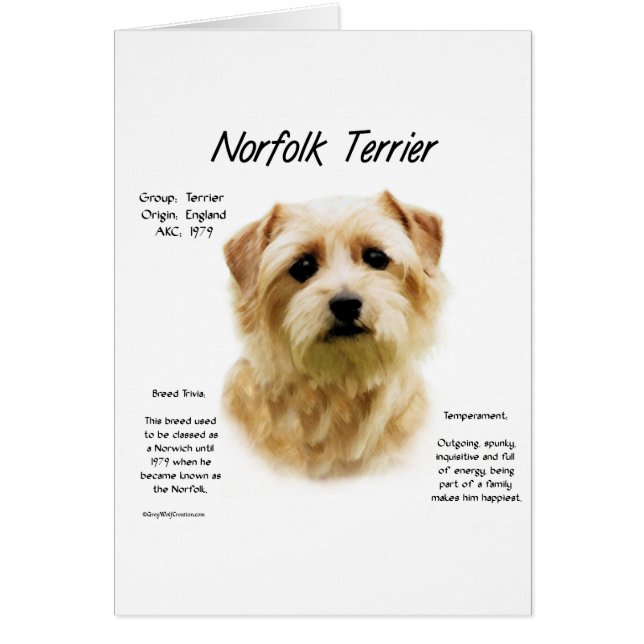 Norfolk Terrier History Design (Front)