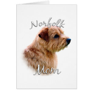 Norfolk Terrier Mum 2