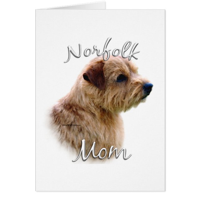 Norfolk Terrier Mum 2 (Front)