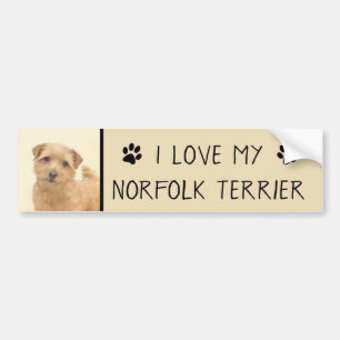 Norfolk Terrier Painting - Original Dog Art Bumper Sticker