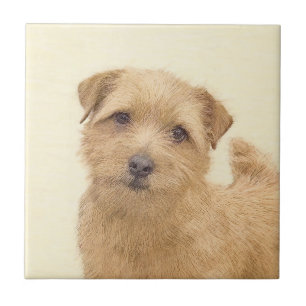 Norfolk Terrier Painting - Original Dog Art Ceramic Tile