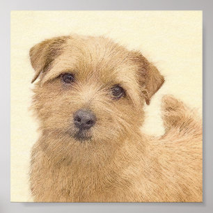 Norfolk Terrier Painting - Original Dog Art Poster