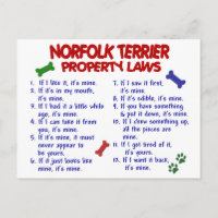 NORFOLK TERRIER Property Laws 2