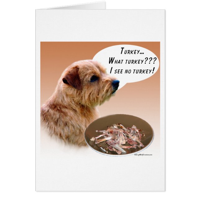 Norfolk Terrier Turkey (Front)