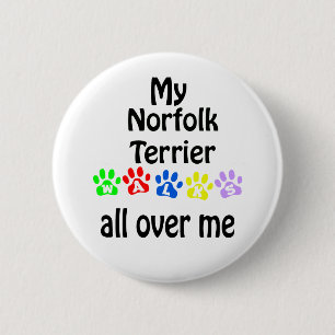 Norfolk Terrier Walks Design 6 Cm Round Badge