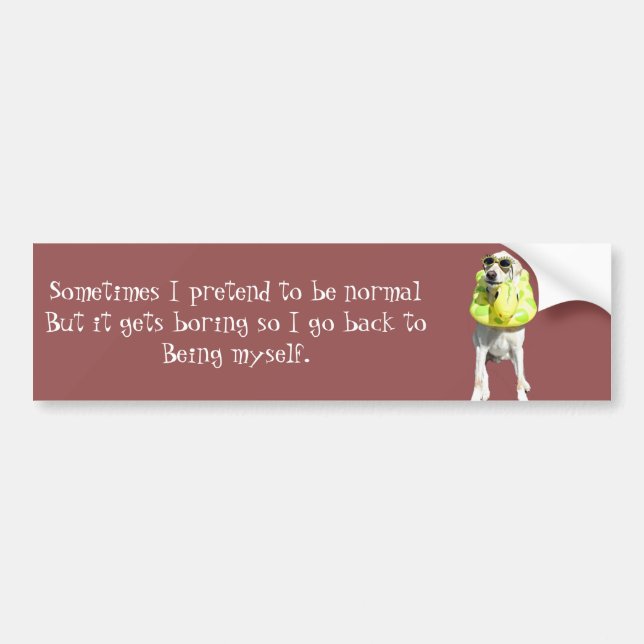 Normal is boring bumper sticker (Front)