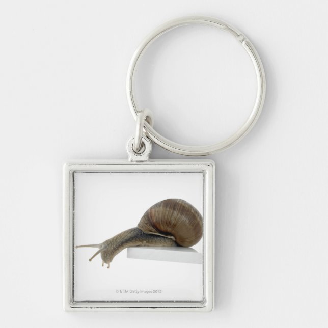 Normalsnail Key Ring (Front)