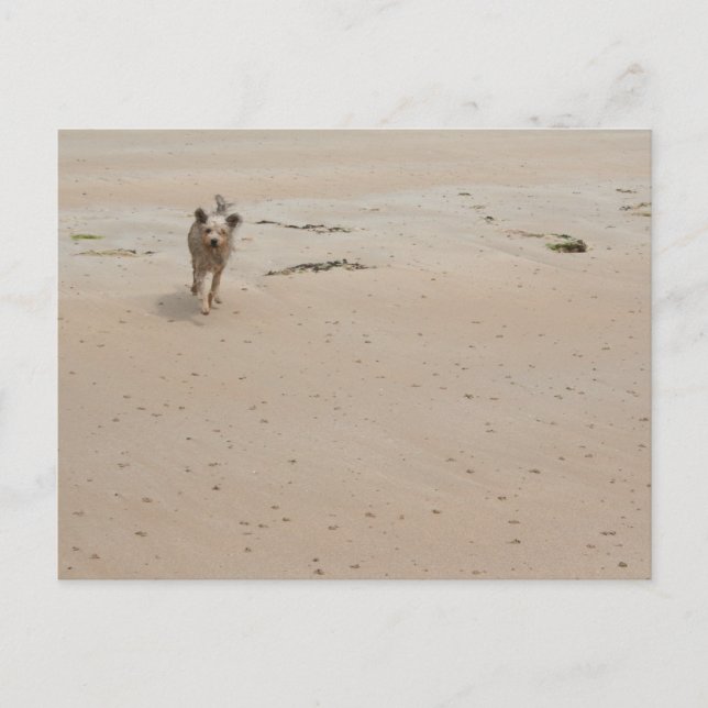 Normandy 2009 (1) postcard (Front)