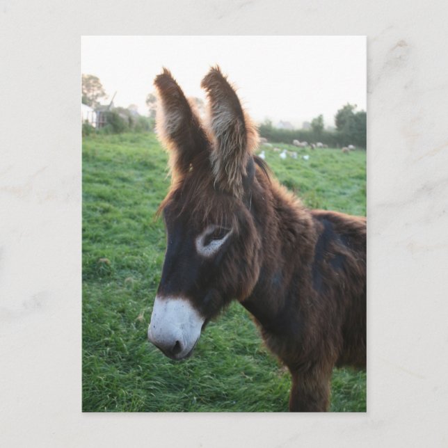 Normandy 2009 postcard (Front)