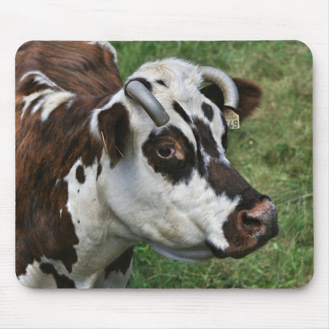 Normandy cow mousepad (Front)
